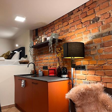 Apartaments In The City Centre Kaunas Extérieur photo