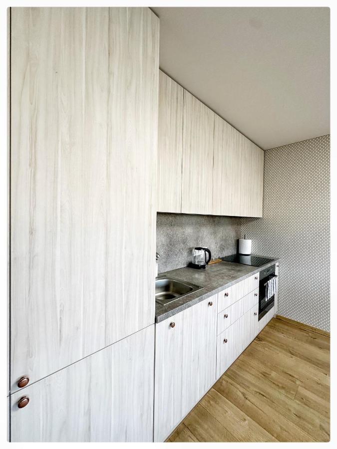 Apartaments In The City Centre Kaunas Extérieur photo