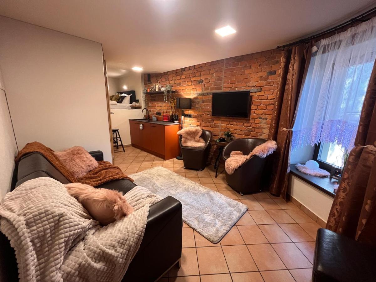 Apartaments In The City Centre Kaunas Extérieur photo